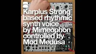Rhythmic synth voice Karplus Strong inspired with Mimeophon controlled by Mod Medusa