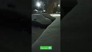 выпал снег #снег #снегопад