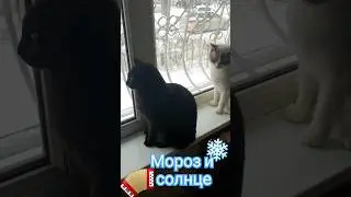 25 февраля 2024 г.