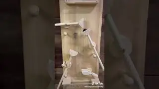 крутая открывалка 