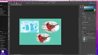 Beginner Tour of Photoshop Saving and Uploading