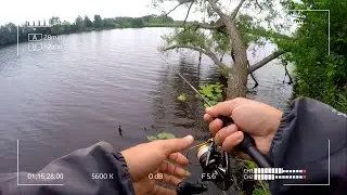 Мормышинг или микроджиг. Что предпочтёт рыба на реке Дубна в конце июня?