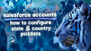 Salesforce Accounts: Let Users Select State & Country from a Dropdown