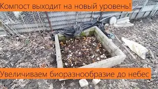 Здоровый компост это хорошо. А БИОРАЗНООБРАЗНЫЙ ещё ЛУЧШЕ! Обогащаем компост жизнью степи и бора!