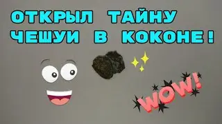 Средство для чистки серебряных монет Золотая лихорадка - чистка чешуи и царского билона!