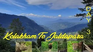 Kolakham To Jaldapara | Day 3 | North Bengal Bike Tour #kolkatatosiliguri #northbengalride #rckvlogs