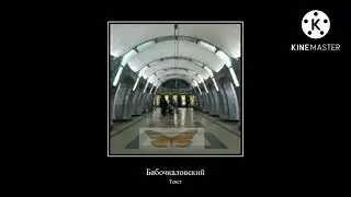 Насекомые - ШИЗА