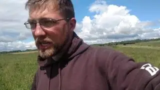 Checking For Calves