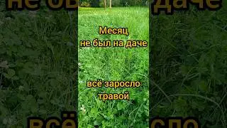 Надоело косить траву на даче? Мне тоже! #robokos #дача #газонокосилка