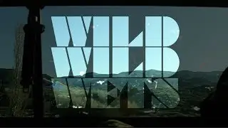 WILD WILD WETS || CRIMINAL BLUE || SAN FRANCISCO WEEKEND
