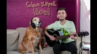 Çılgın Köpek Noel (Crazy Dog Noel)  - Ari Aliciyan feat. Noel Aliciyan