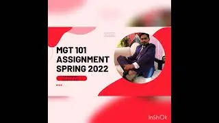 MGT 101 Assignment 01 Spring 2022 with Sir Muttahar