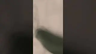 My own tale (vertical video)