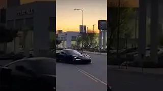 YouTuber Wrecks USD  1 Millon Super Rare Car 😐