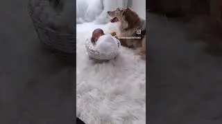 Is there anything sweeter than babies and puppies😍