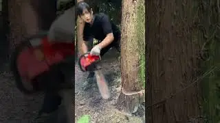 Girls chainsaw operator 