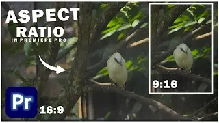 How To Change ASPECT RATIO In Premiere Pro