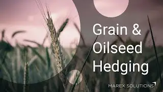 Meet the Company: Grain & Oilseed Hedging