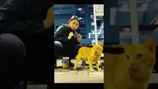 Смешные и неуклюжие моменты😂🔥