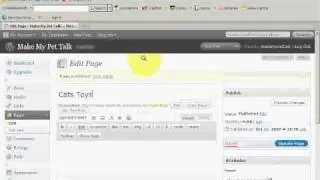 Easy Websites with Wordpress - How to Add Pages and Categories to your Blog