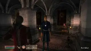 Anything you require - Oblivion