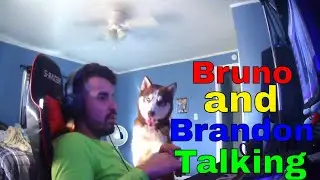 Talking to Bruno and Brandon