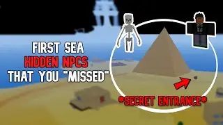 *6 HIDDEN NPCS* in the First Sea that you have 