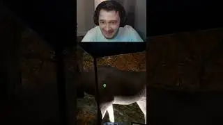 Лось убийца #shorts  #тренды #топ #стрим #gaming #stream #твич #юмор