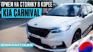 Осмотр KIA Carnival 3 при получении на стоянке в Корее