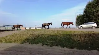 Газимурский Завод - село в Забайкальском крае
