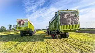 ☆Zbiór Trawy☆ Fendty w Akcji☆ Sianokiszonka 2023☆ 2x CLAAS QUANTUM 6800 P,Fendt Vario 716/916,Dron☆