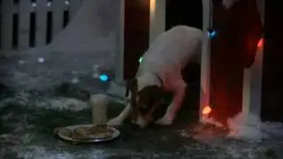 sobaka_ru  Собачий Новый Год.rv