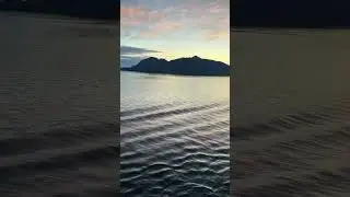 look at this! 