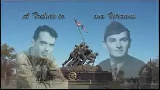 Salute to Veterans - Courtesy of the Red White and Blue Toby Keith song