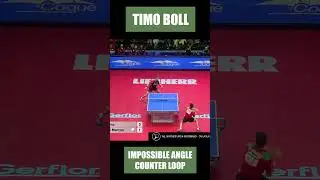 Timo Boll IMPOSSIBLE ANGLE! #shorts #tabletennis