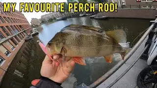 my BEST FISHING ROD combo!( EVERGREEN Combat stick light cavalry)