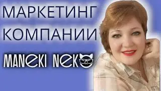 Предстарт новой компании. Предстарт компании. Маркетинг компании. Заработок в интернете.