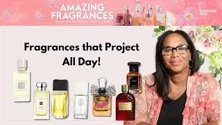 Top 6 LONG LASTING FRAGRANCES!|Unisex| Smell INCREDIBLE all day!