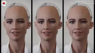 How Was Sophia Build? | The Dream Of AI | Curiosity Feeds
