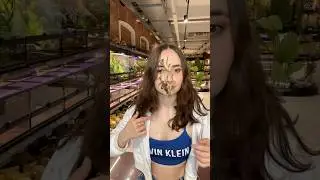 Палочники ядовиты??? #палочники