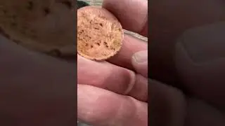 Old coins from the beach Nokta Legend 