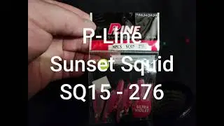 P Line   Sunrise Squid   SQ15 276