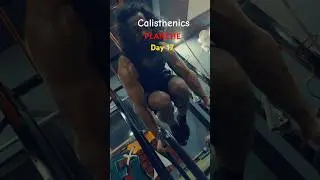 Day17 PLANCHE🇮🇳🔱🚩❤️#calisthenics #rap #newsong #song #music #hiphop #motivation #planchepushup