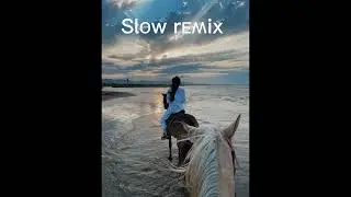 ELMAN MONA черная любовь (slow+reverv)
