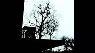 (FREE) lil peep type beat 