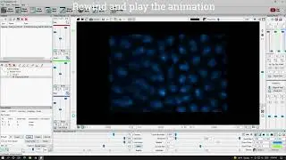 Latest Development: Color Key Frames