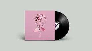 (FREE)Griselda Sample Pack Vintage Boom Bap Sample Pack (PreChopped Westside Gunn,Benny The Butcher)
