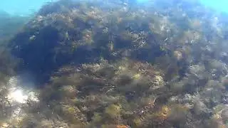 Черное море Береговой Феодосия пляж 117