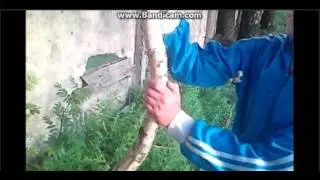 рейтинг Баженова 