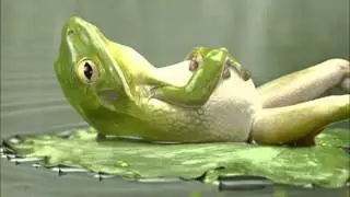 Übelst am häääääng man
